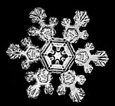 snowflake